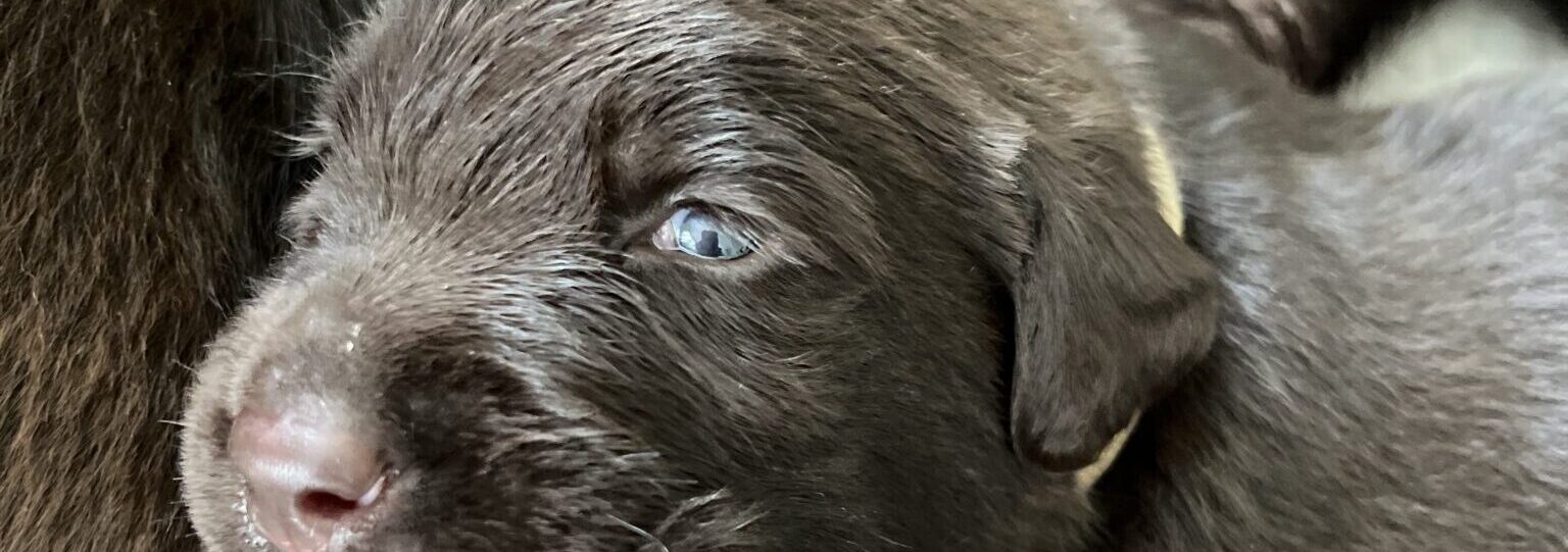 I spy with my little eye…